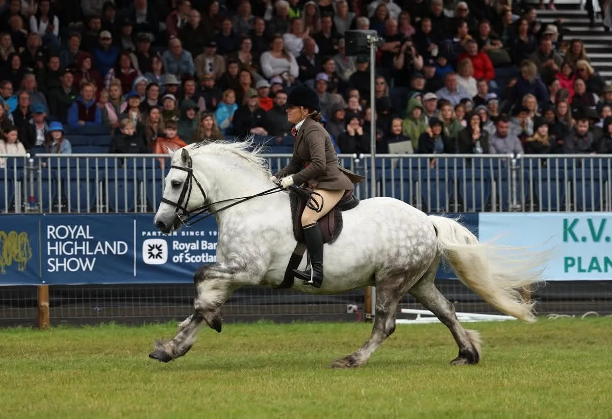 A woman riding a white horse during an equestrian event at the Royal Highland Show. The audience is seated behind a barrier, with banners displaying event and sponsor information.