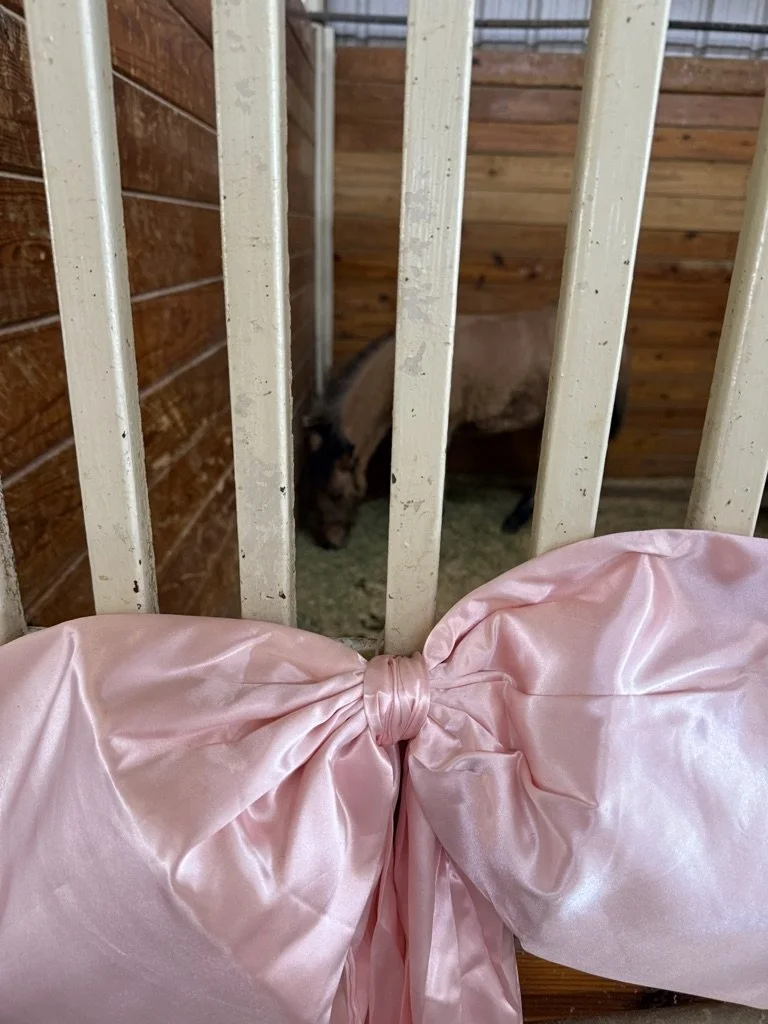 A small horse or pony inside a wooden stall with beige bars. In the foreground, there is a large pink bow made of shiny satin fabric attached to a surface.