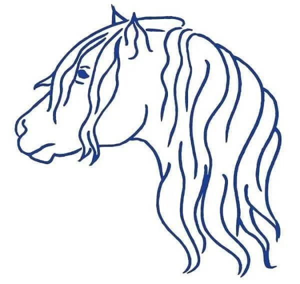 Highland Pony Society