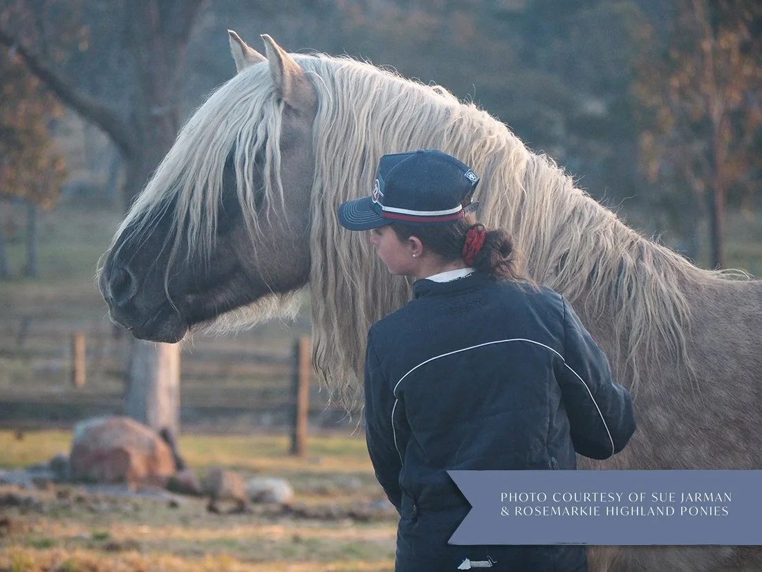 A woman with a ponytail wearing a black cap and black jacket standing next to a large, light-colored horse with a long mane in an outdoor setting with trees and a fence in the background.