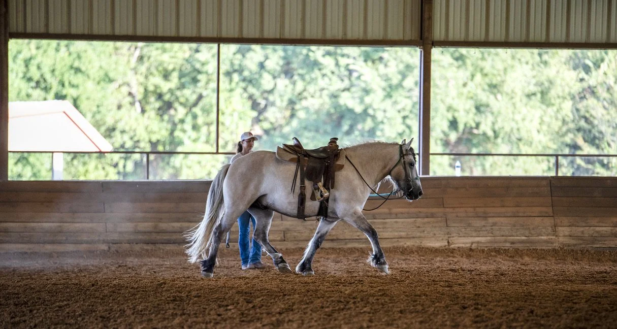 A person leading a light brown horse with a saddle inside an indoor riding arena with wooden walls and large windows showing green trees outside.