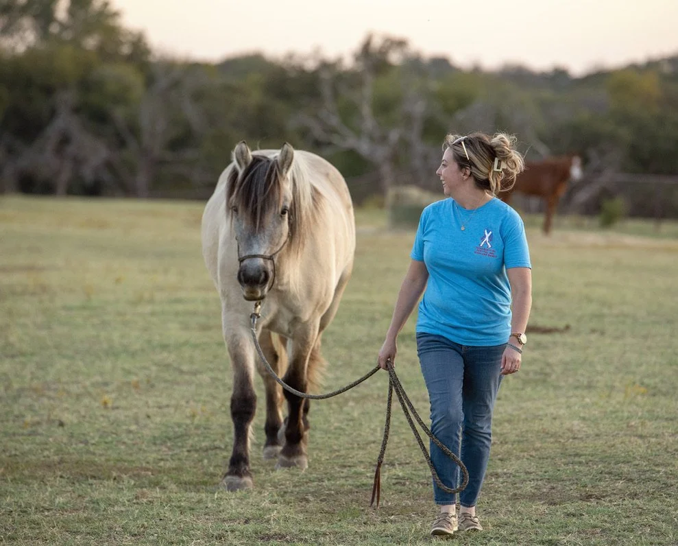 A woman in a blue shirt walking a white horse on a grassy field during sunset
