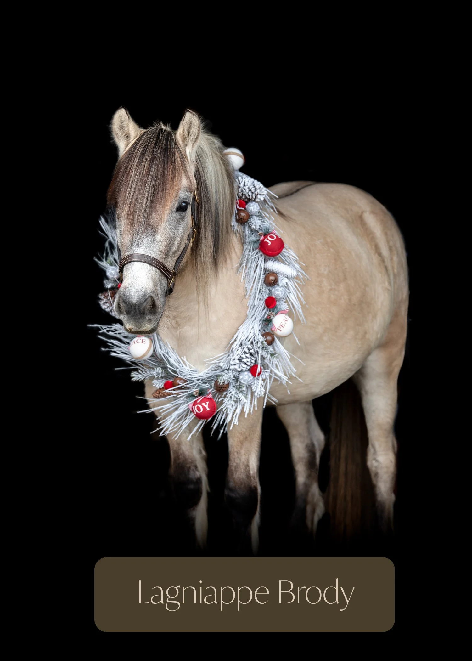 A cream-colored horse with a brown mane is decorated with Christmas ornaments and a white garland around its neck, set against a black background.
