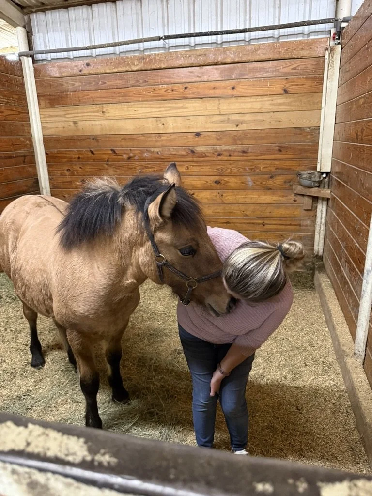 A woman with blonde hair in a ponytail leaning into a young horse with a brown coat and black mane inside a wooden stable.