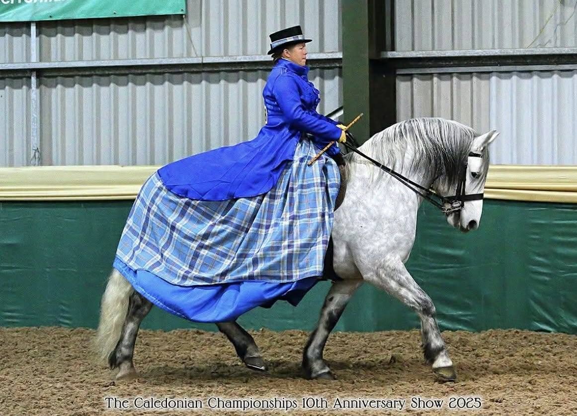 A woman dressed in period costume riding a white horse inside an indoor arena. The woman wears a black hat and a blue coat with a plaid skirt. There is a sign in the background indicating the event is the Caledonian Championships 10th Anniversary Show 2025.