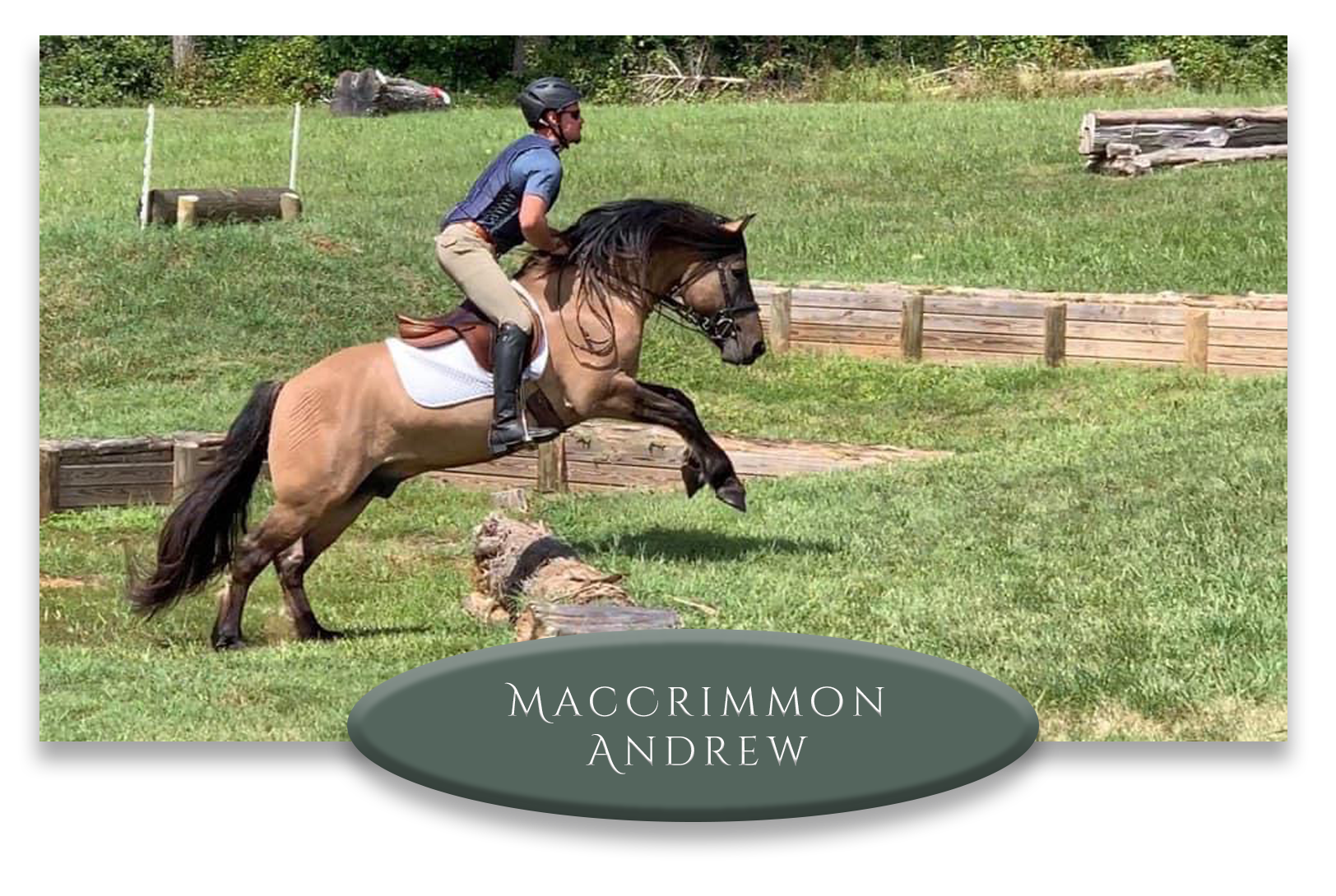 A person in riding gear and helmet riding a horse over an obstacle during an equestrian event on a grassy field with wooden and natural obstacles, with trees in the background. The image has a label at the bottom reading 'Maccrimmon Andrew.'