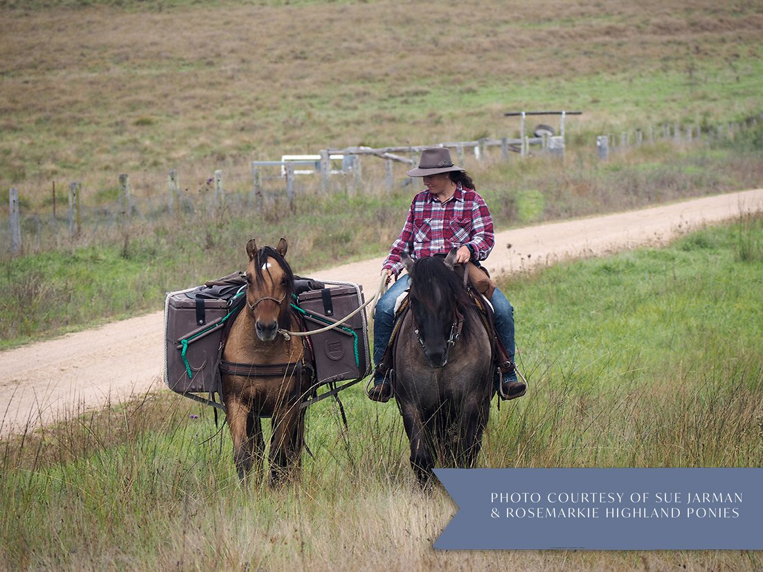A person riding a horse on a grassy rural trail with another horse carrying gear, wearing a plaid shirt and a hat. Pack animal.