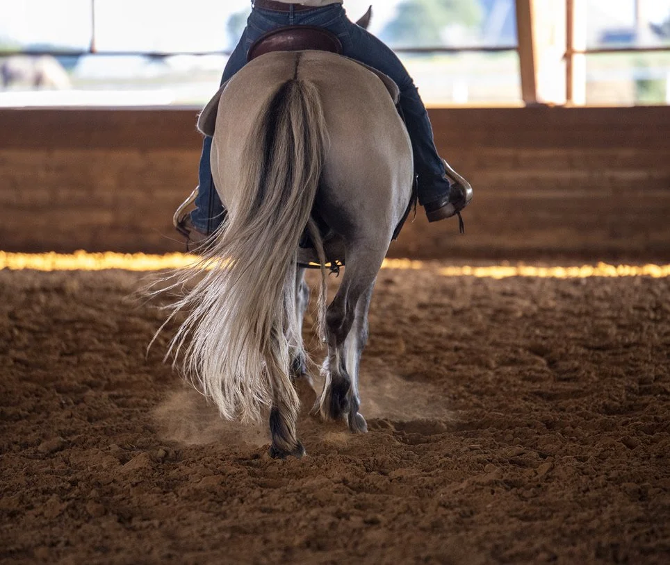 Person riding a horse in an indoor riding arena with a dirt floor.
