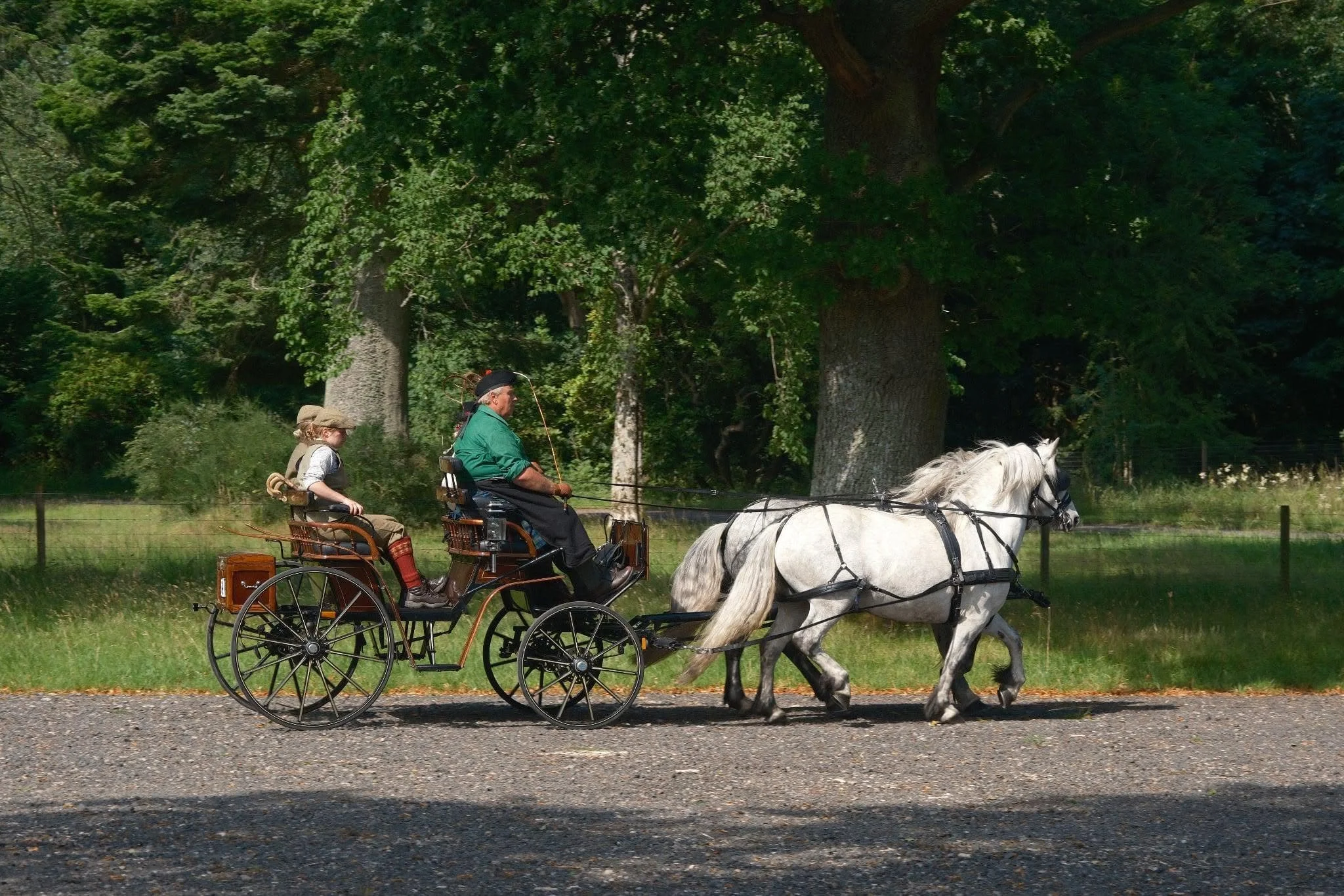 A man and a woman riding in a horse-drawn carriage on a rural road surrounded by green trees.