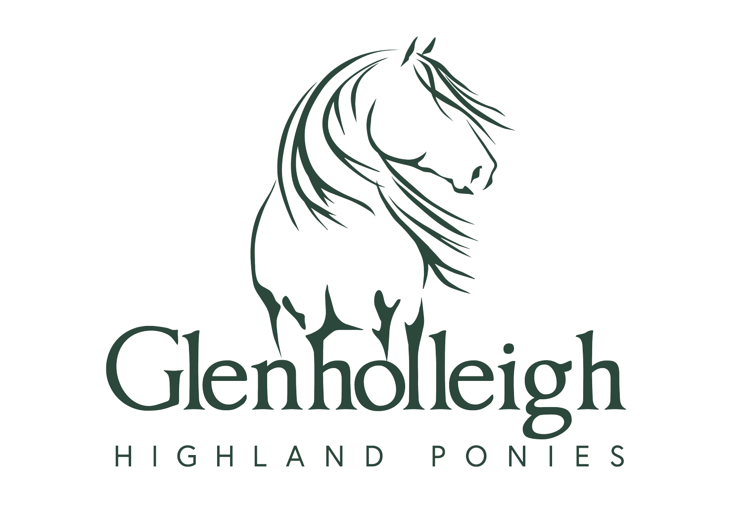 Glenholleigh Highlands
