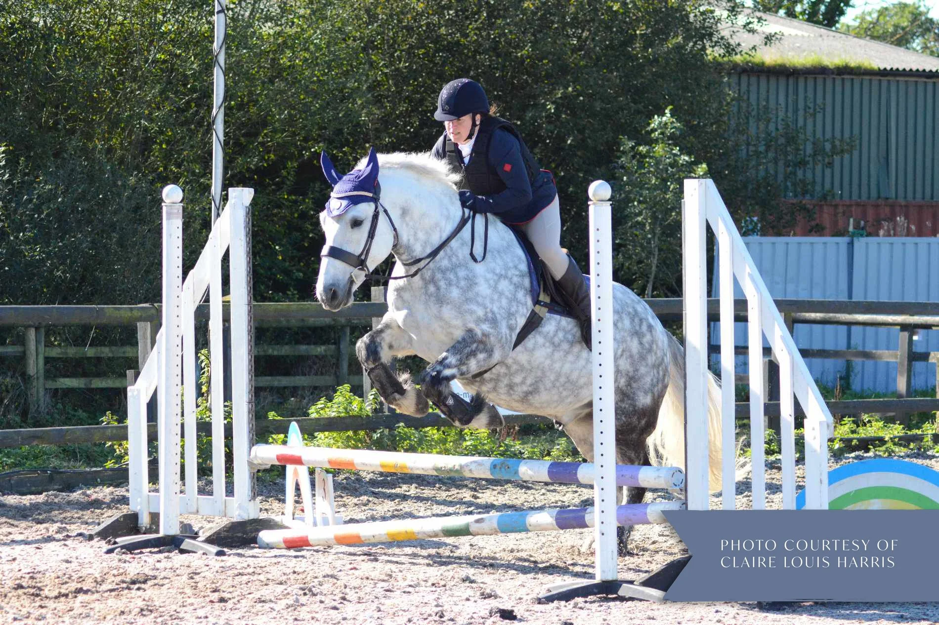 A person riding a white horse with gray spots over a colorful show jumping obstacle in an outdoor arena, with green trees and a building in the background. Highland pony. Grey. Jumping.