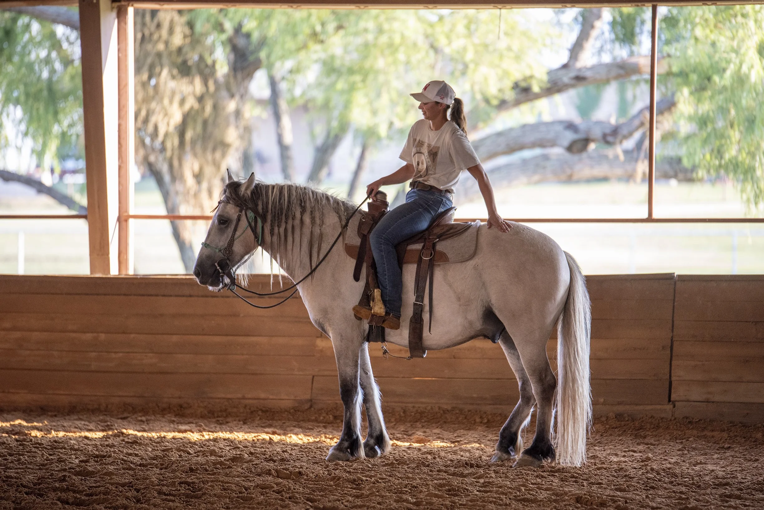A woman riding a white horse inside an indoor riding arena with wooden walls and a view of trees outside.