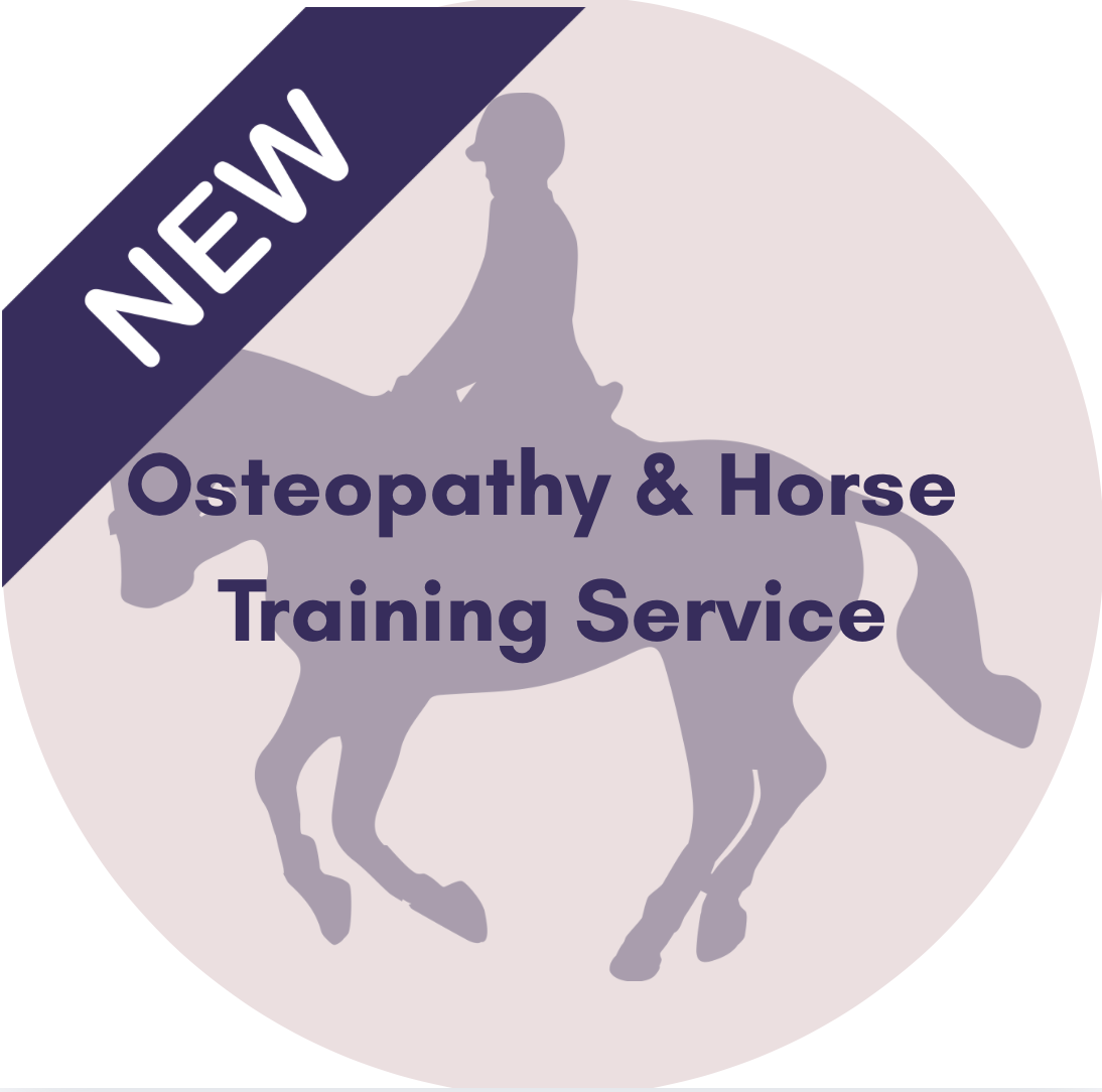 New Service: Osteopathic Care &amp; Training