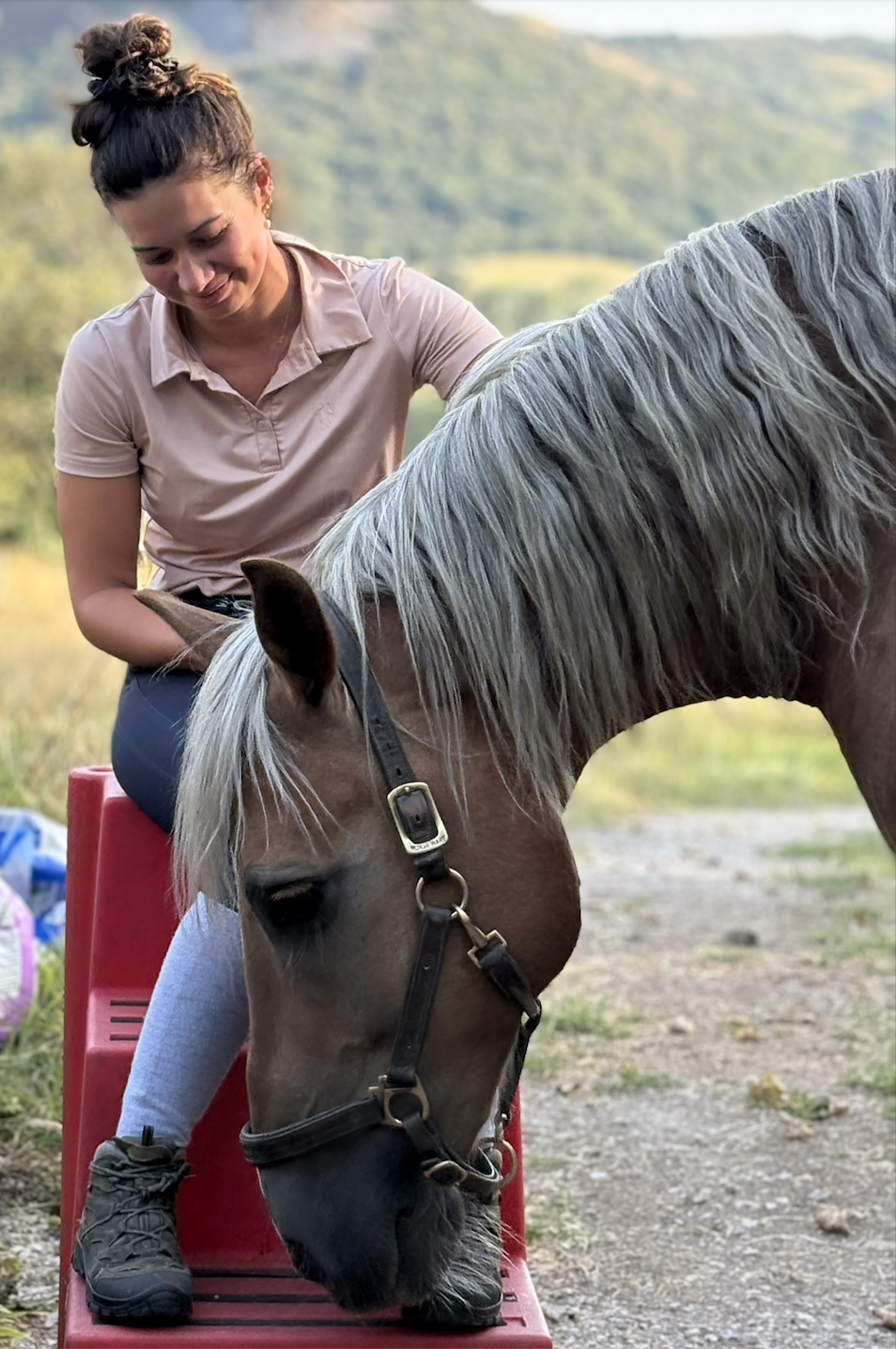 A woman with dark hair tied in a bun, wearing a beige polo shirt, bonding with a palamoni horse. The scene is set in a natural landscape with blurred greenery and hills in the background.