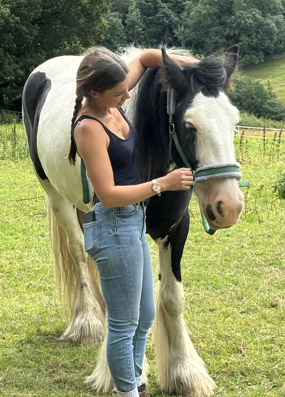 An Equine Osteopathic technique - Balanced Ligamentous Tension. working with the nervous system to relax the body and reduce tension at the poll