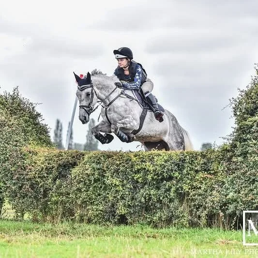A person riding a gray horse jumps over a hedge during an equestrian event.