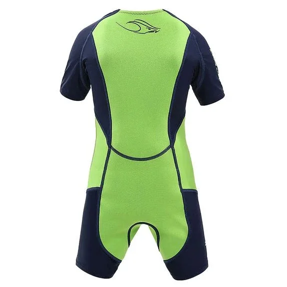 Stingray Back.webp