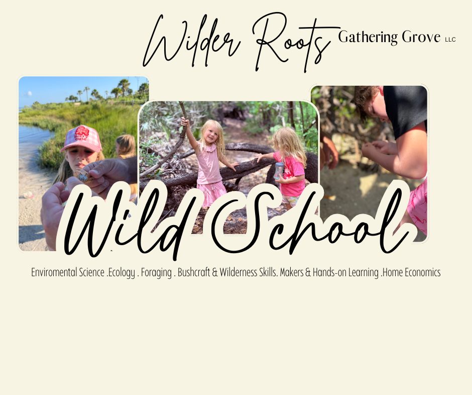 Wild school 6 week tuition
