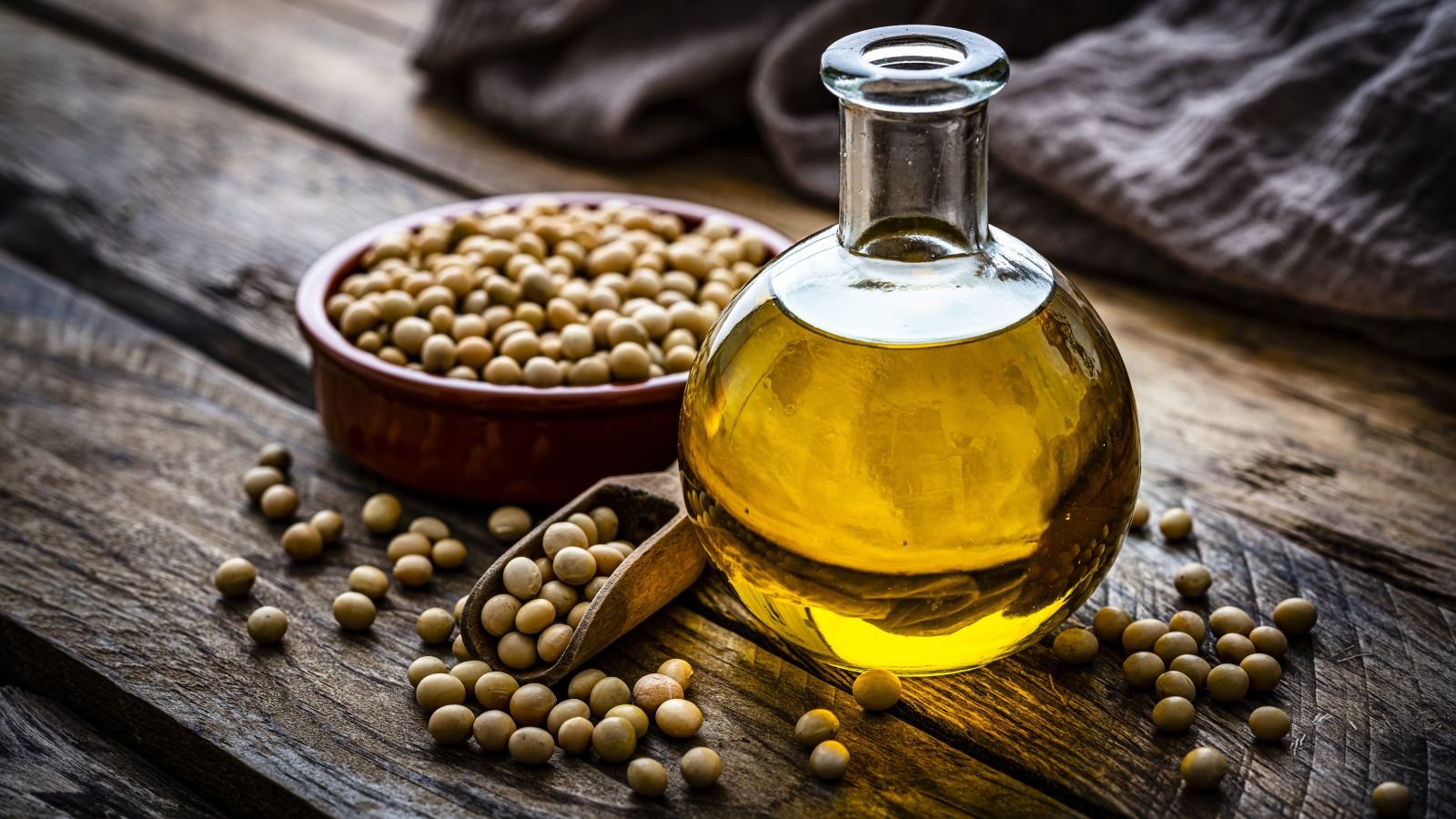 Fresh and Trending: Seed Oils