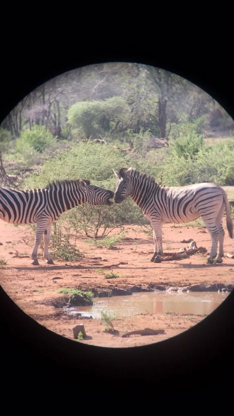 South Africa 2016