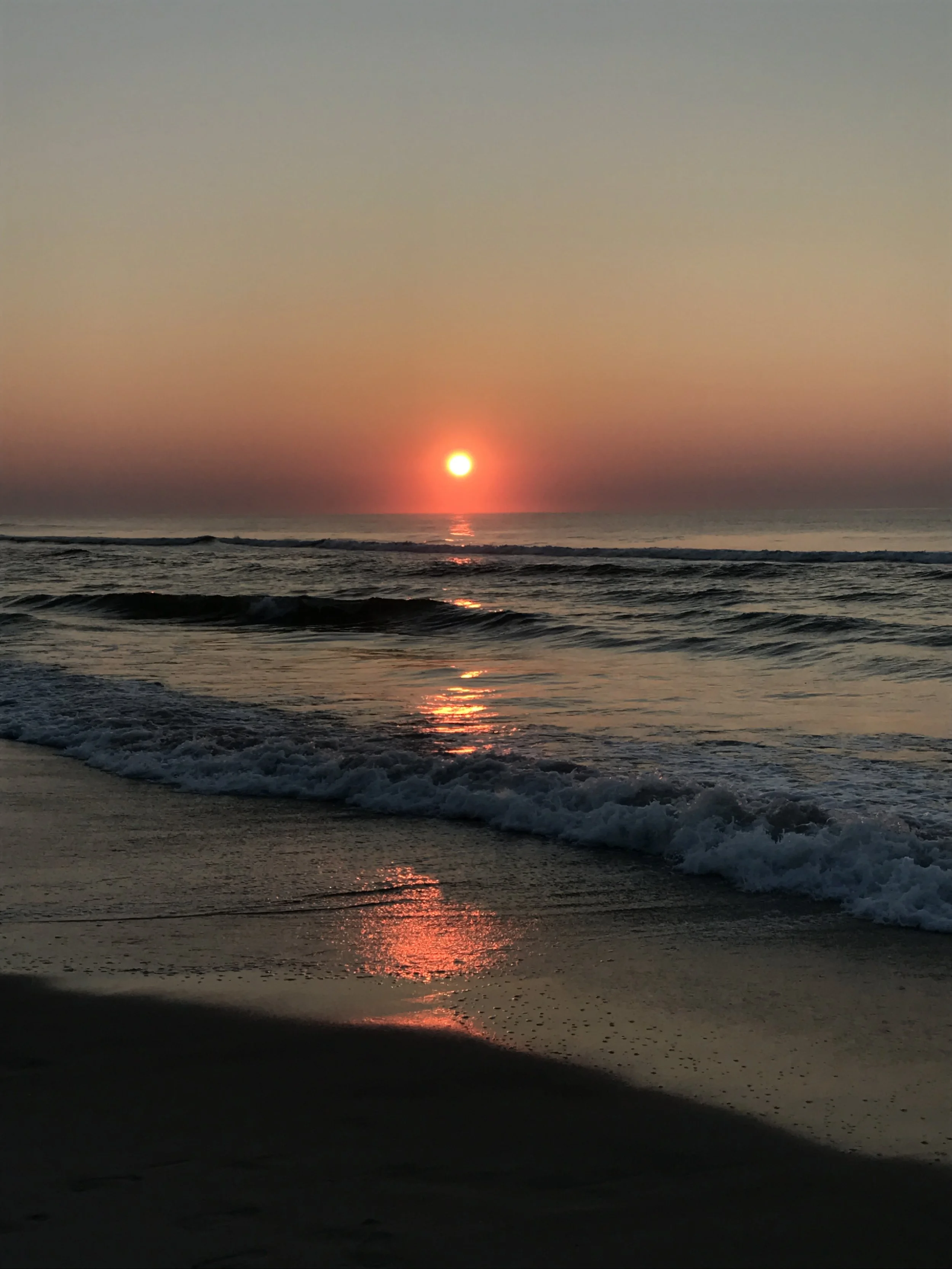 LBI 2018