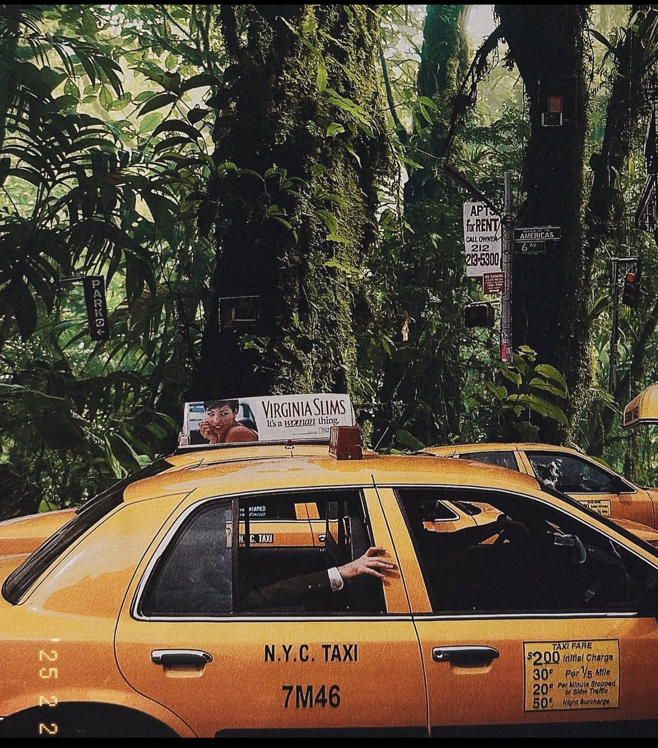 "Welcome to the Jungle" October 2024