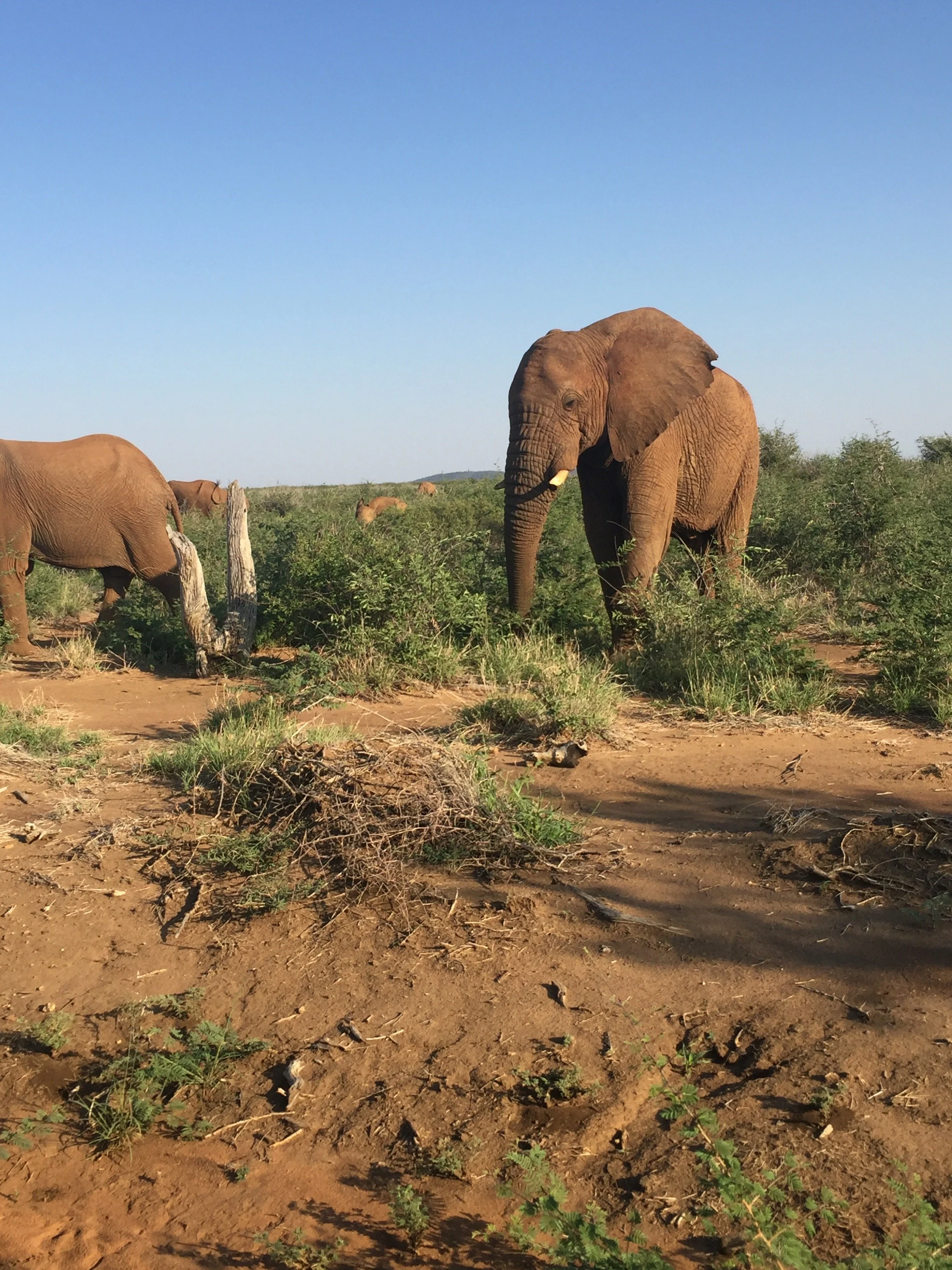 Johannesburg 2016