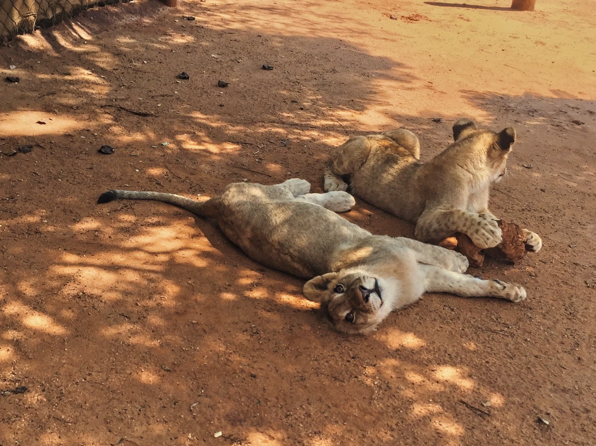 South Africa 2016