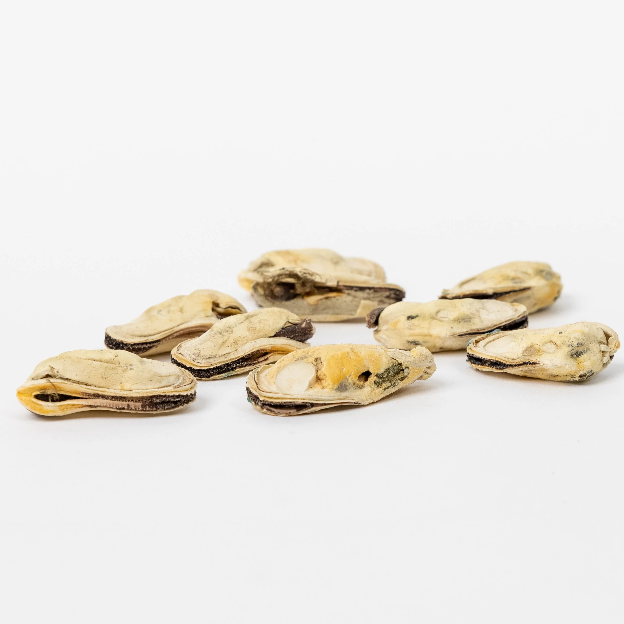 Freeze-dried green lipped mussel dog treats from K9 Pet Foods