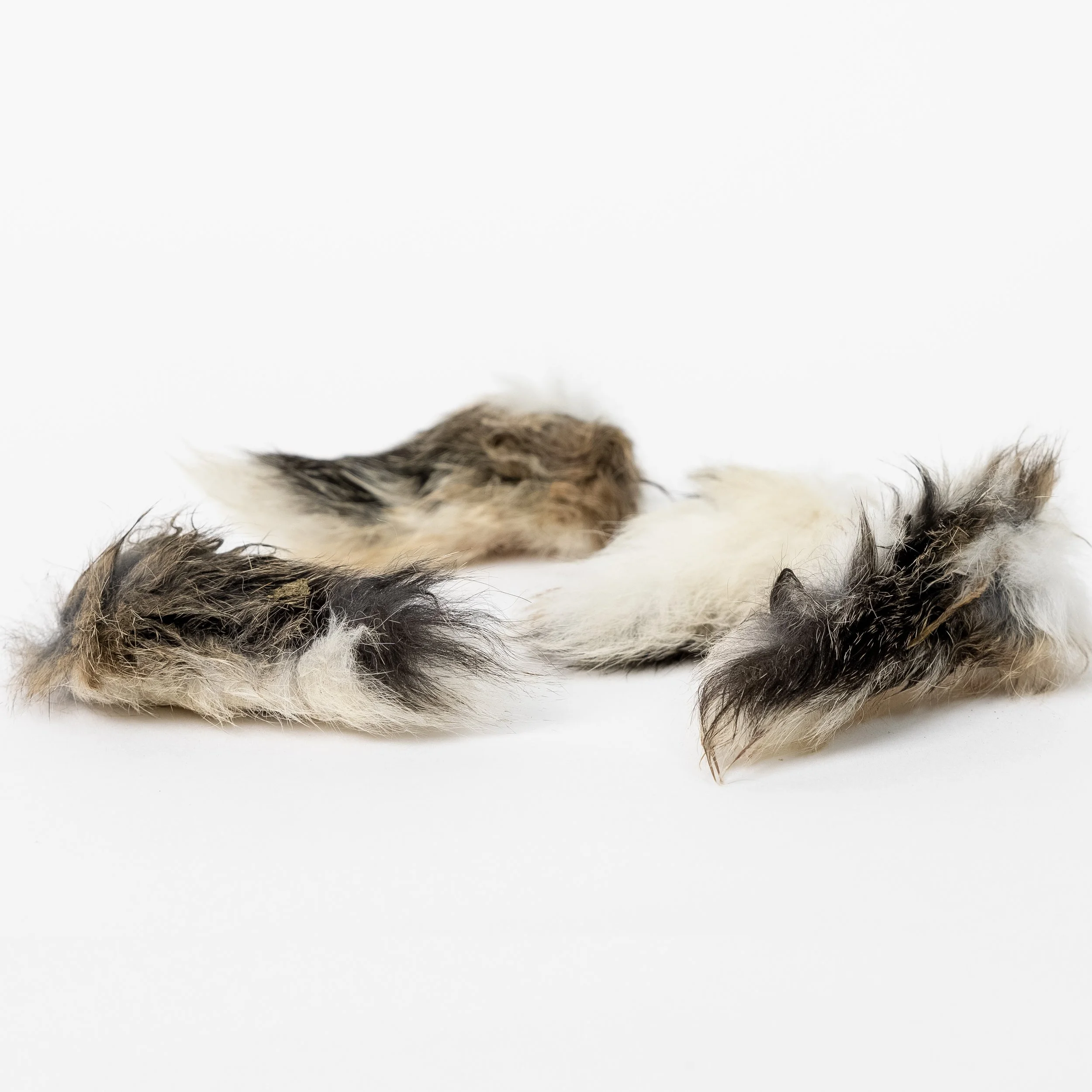 Natural hairy ear dog treats from K9 Pet Foods