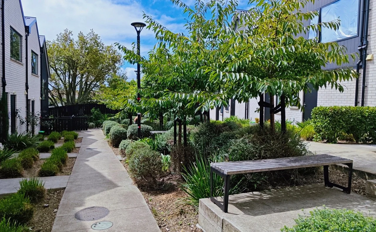 A residential outdoor walkway with a small landscaped garden on each side, trees, bushes, and a wooden bench, between modern white brick buildings.