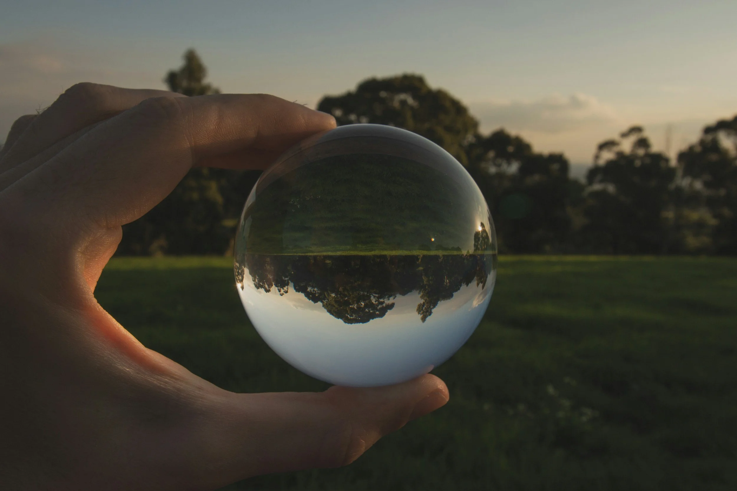 A magnifying globe highlighting a treeline.