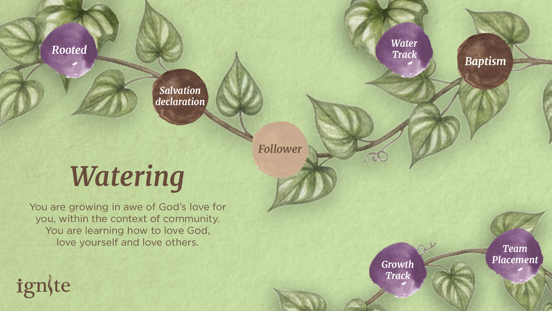 A diagram showcasing the breakdown of the 'Watering' stage in Ignite's Faith Journey.