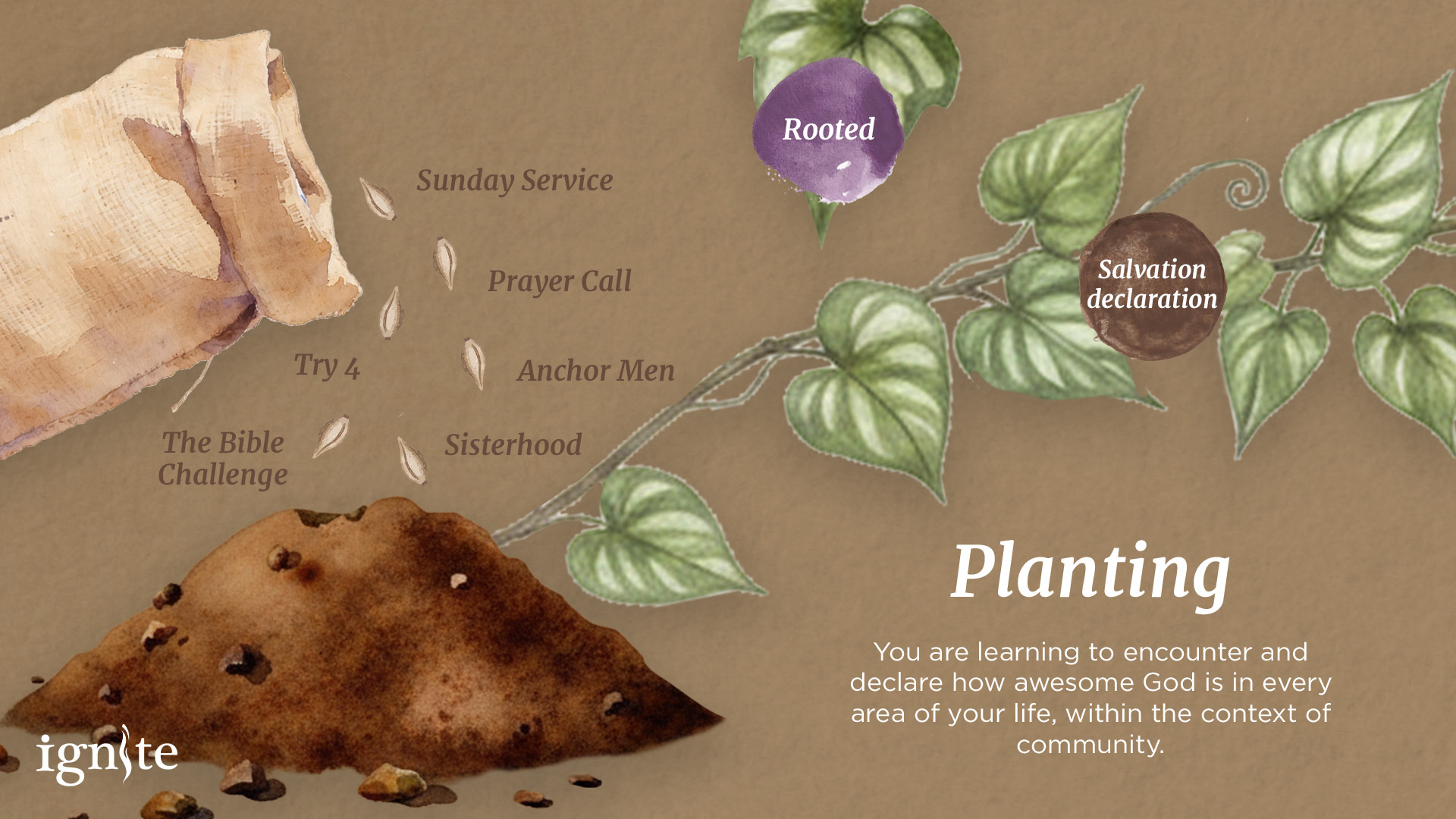 A diagram showcasing the breakdown of the 'Planting' stage in Ignite's Faith Journey.