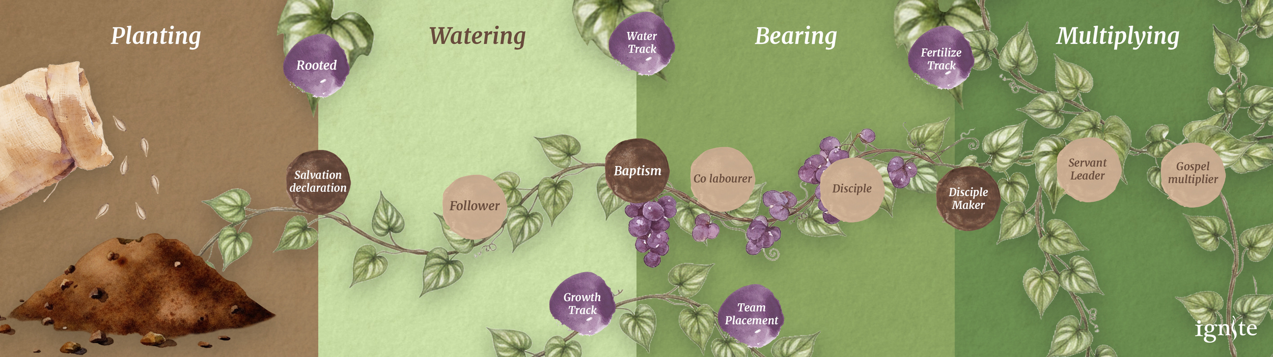 Ignite Church's Faith Journey workflow diagram: from planting to watering to bearing to multiplying.