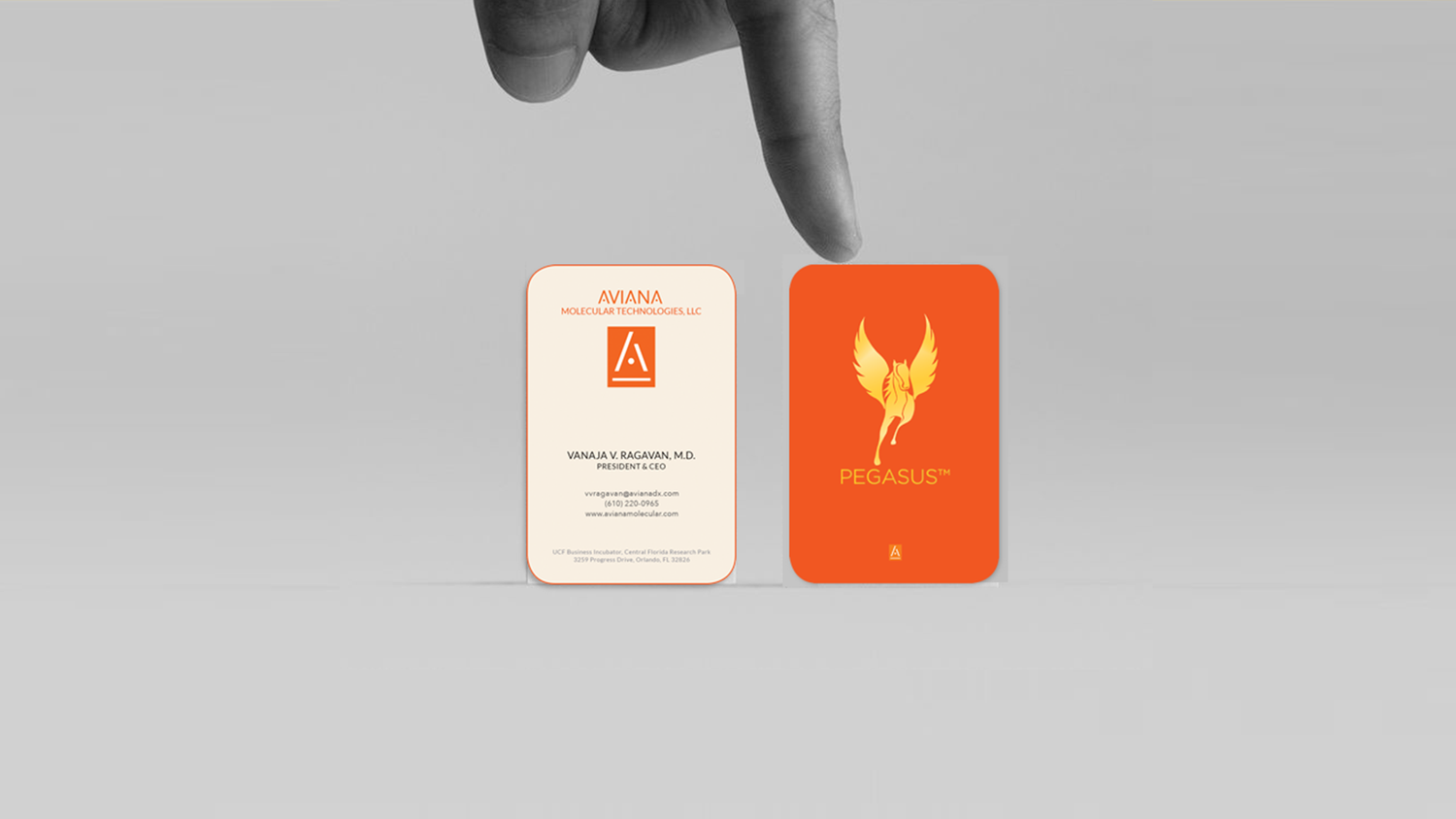Two business cards held between a person's fingers, with the left card displaying contact details for Aviana Molecular Technologies and the right card labeled Pegasus with a winged horse logo.