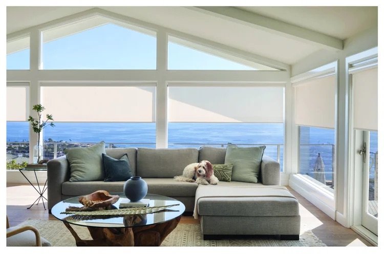 Living room with large windows showing ocean view, gray sectional sofa with pillows, a dog lying on the sofa, glass coffee table with decorative items, and a potted plant in the corner.