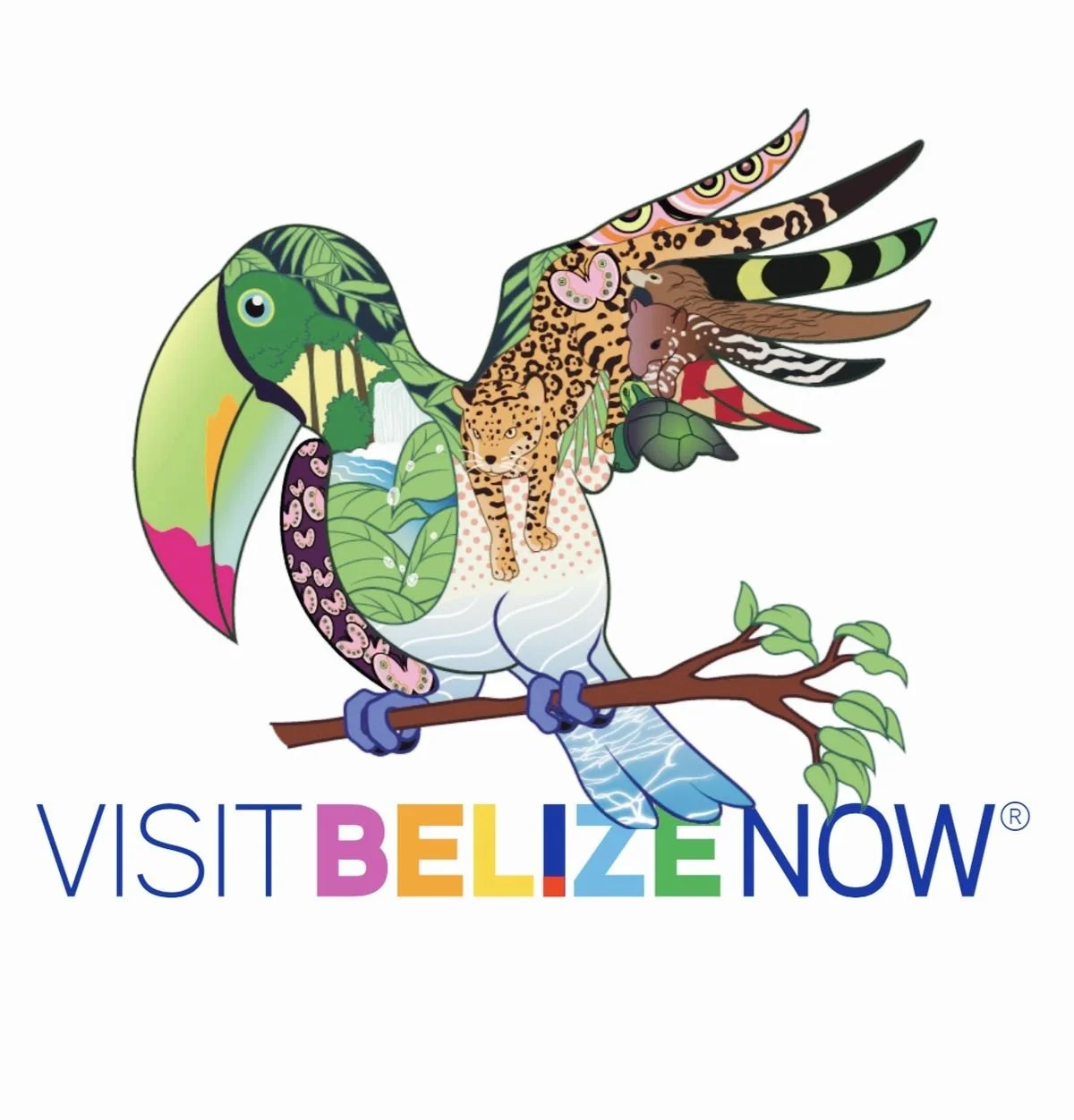 Colorful illustration of a toucan with images of Belizean wildlife and landscapes inside its body, sitting on a branch with the text 'Visit Belize Now' below.