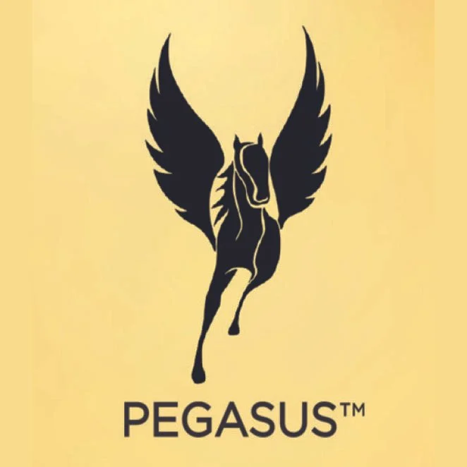 Silhouette of a horse with large wings, resembling a Pegasus, with the word 'PEGASUS' underneath on a yellow background.