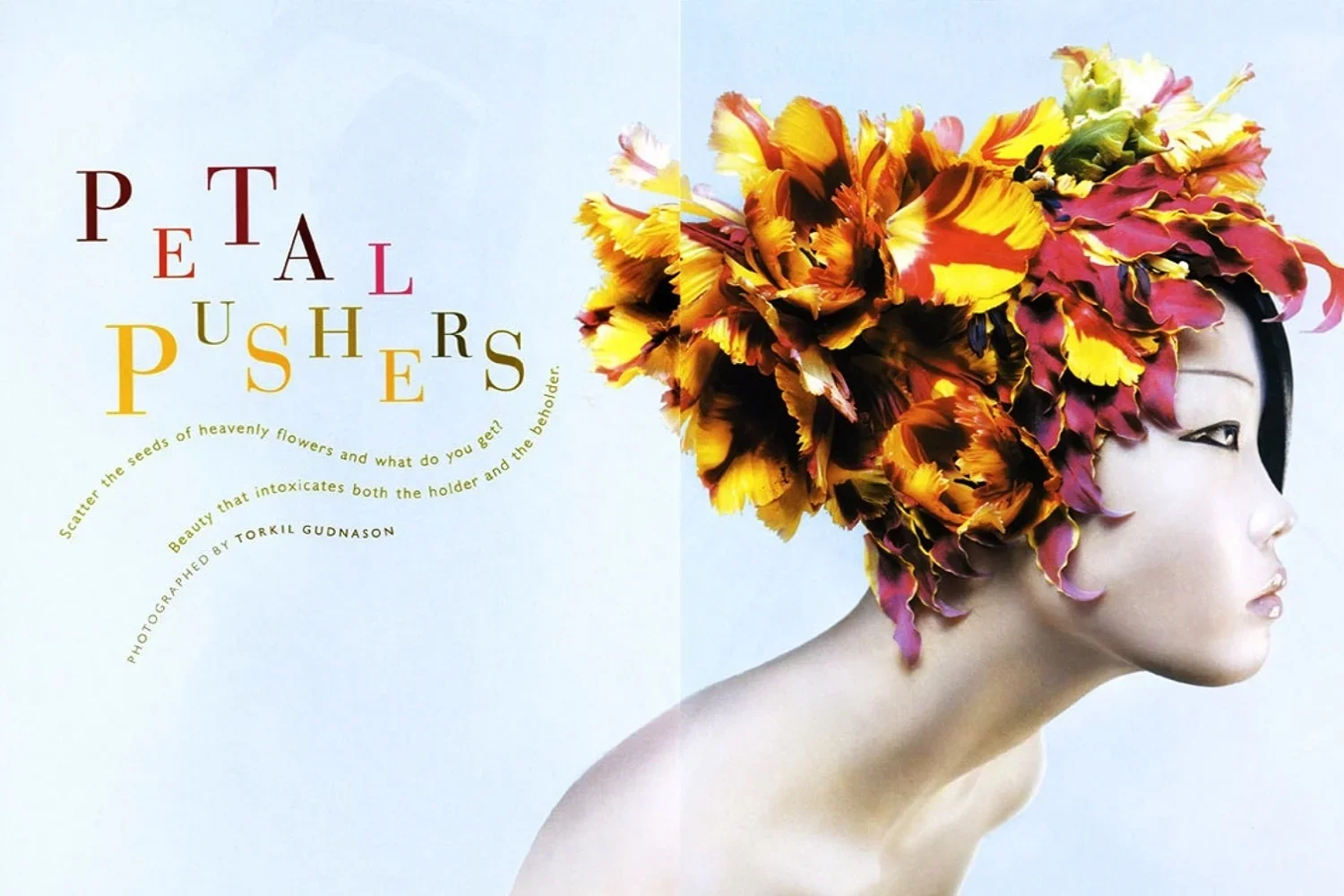 Book cover featuring a woman with a headdress made of colorful flowers, with title 'Petal Pushers' and additional text about the book.