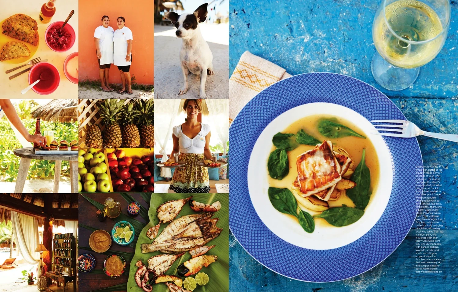 A collage of scenes including breakfast with fruit and eggs, two women in white outfits standing against a coral wall, a curious dog, a woman serving burgers and pineapple, a woman holding trays, fresh fruits like apples and pineapples, a cozy indoor