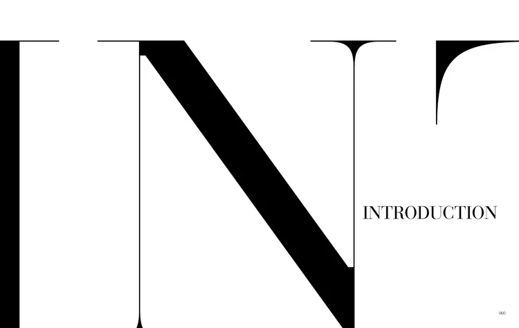 A large stylized letter 'N' with an introduction section on the right