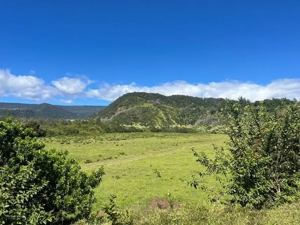 Conservation grant brings TNC one step closer to protecting Hīlea