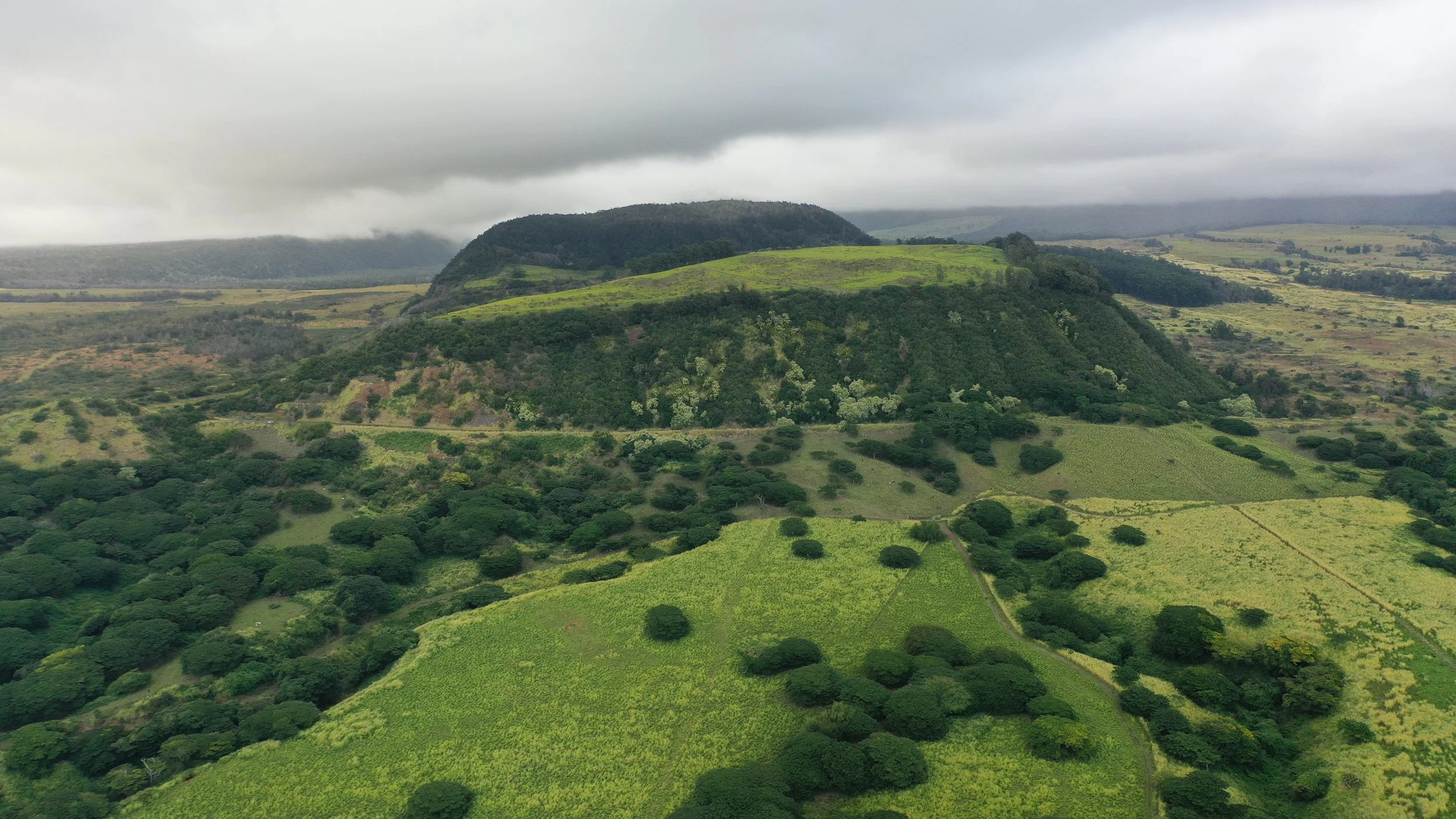 The Nature Conservancy Eyes Hilea Land Acquisition