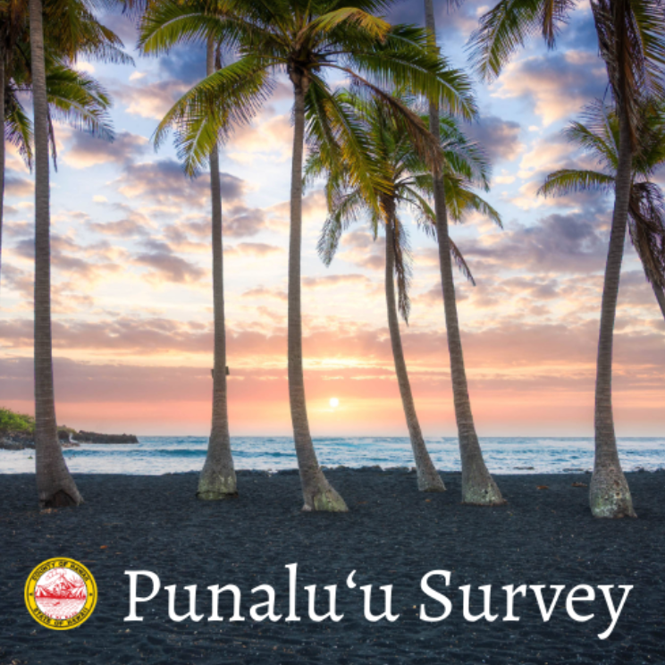 Taking Stock of the Status of Punaluʻu