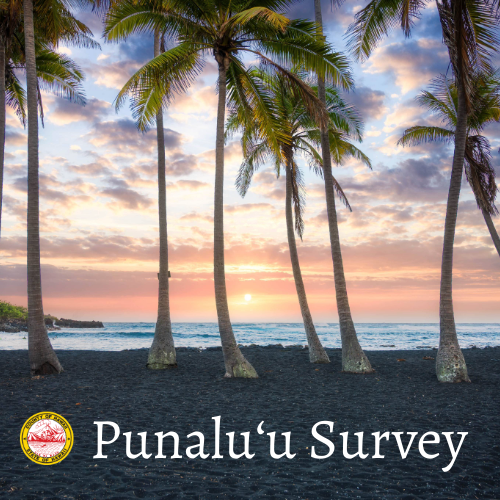 Kaʻū Weighs In on Punaluʻu Future