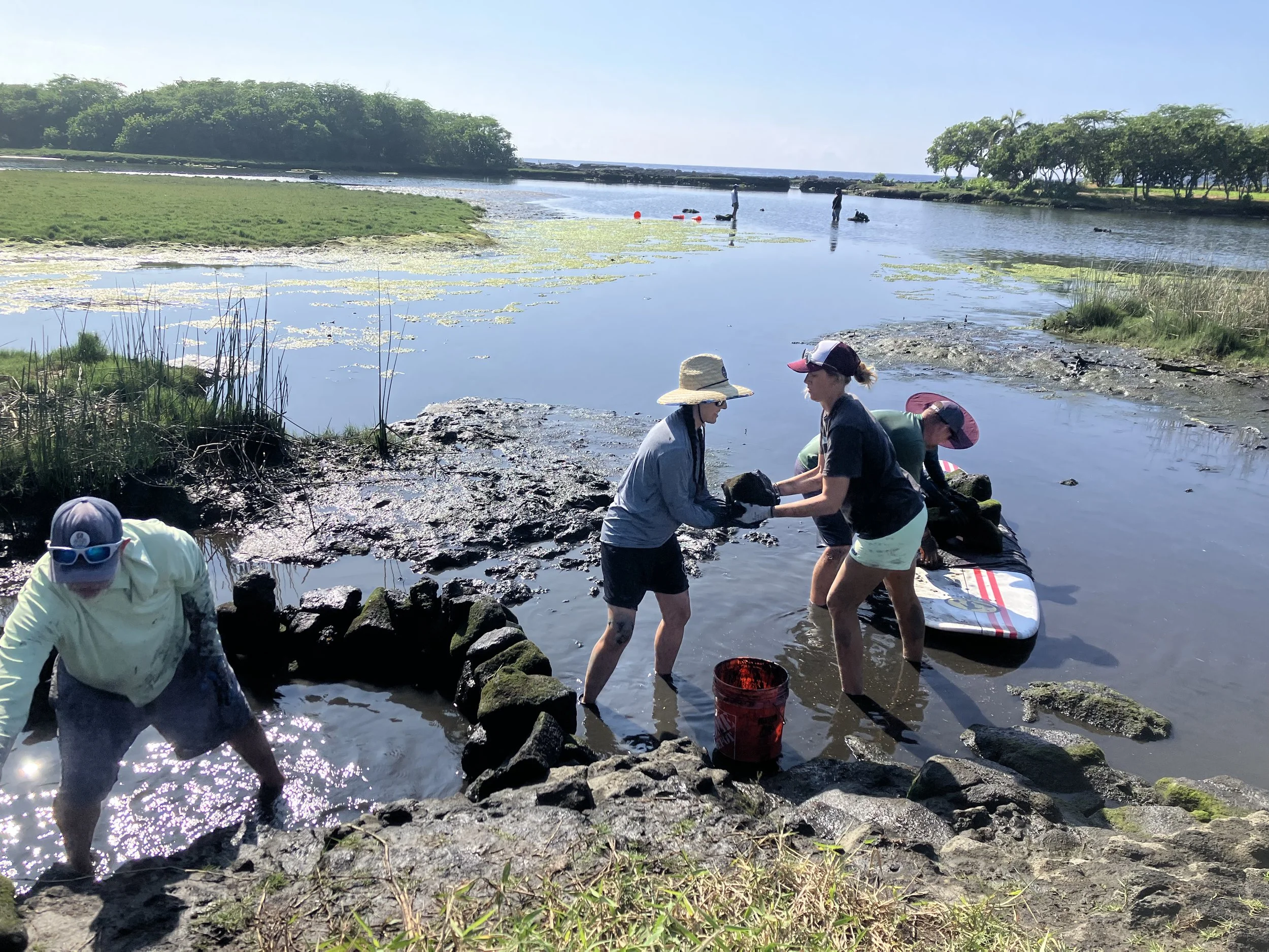 Restoring the Heart of Honuʻapo