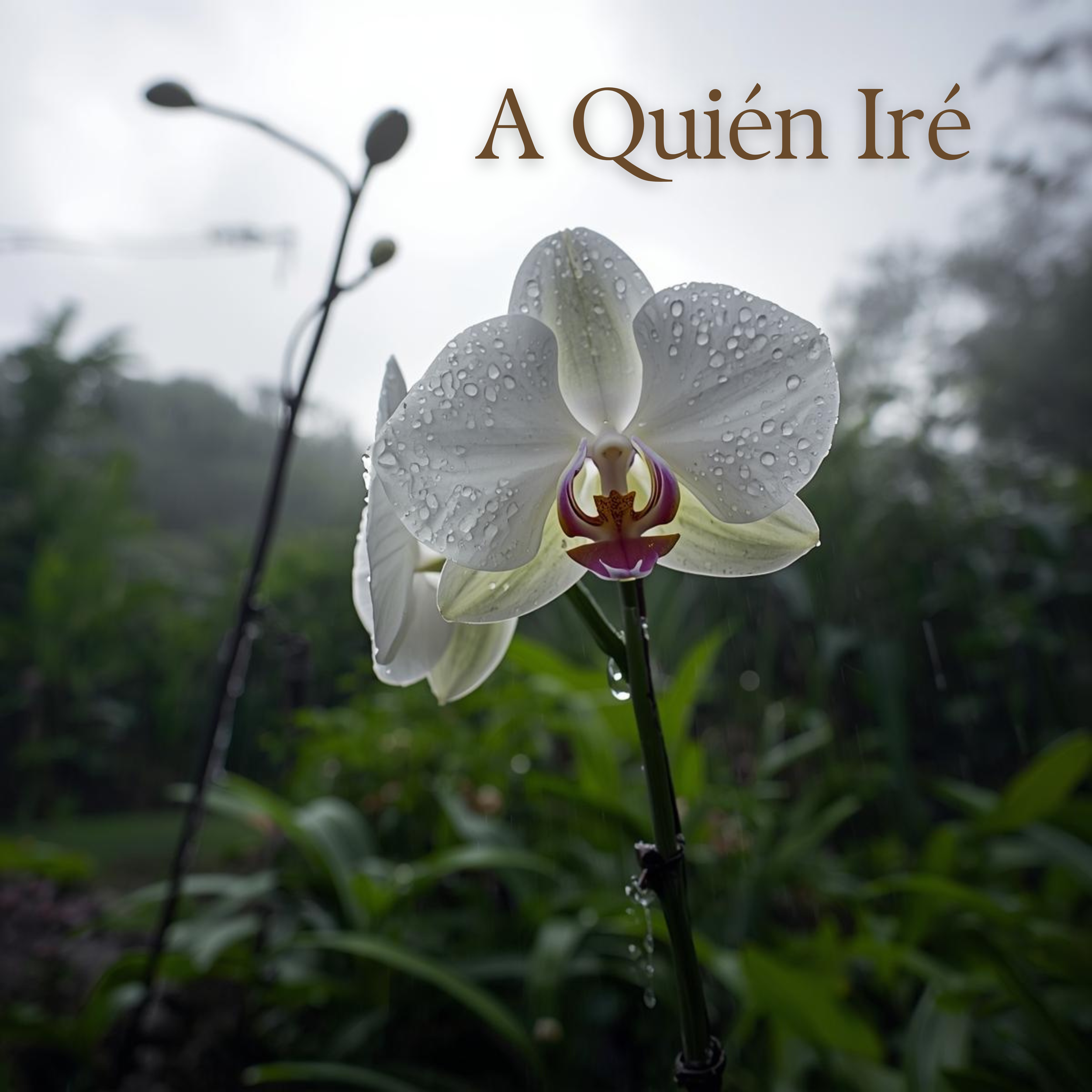 Close-up of a white orchid flower with water droplets, with blurred green foliage and an overcast sky in the background