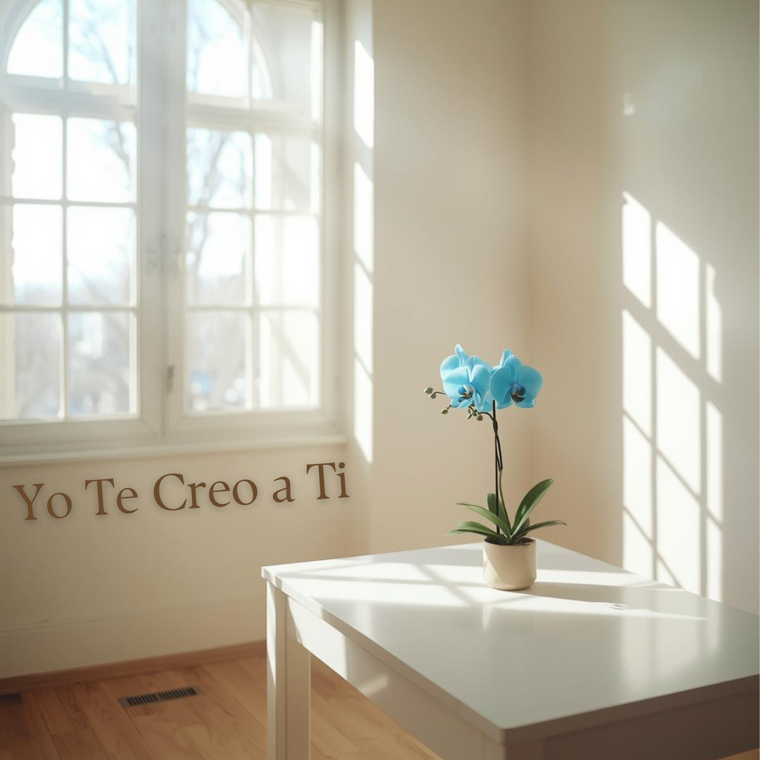 A white table with a small beige pot containing a blue orchid plant, in front of a white wall with sunlight casting shadows from a window. A portion of a window with white frames is visible in the background.