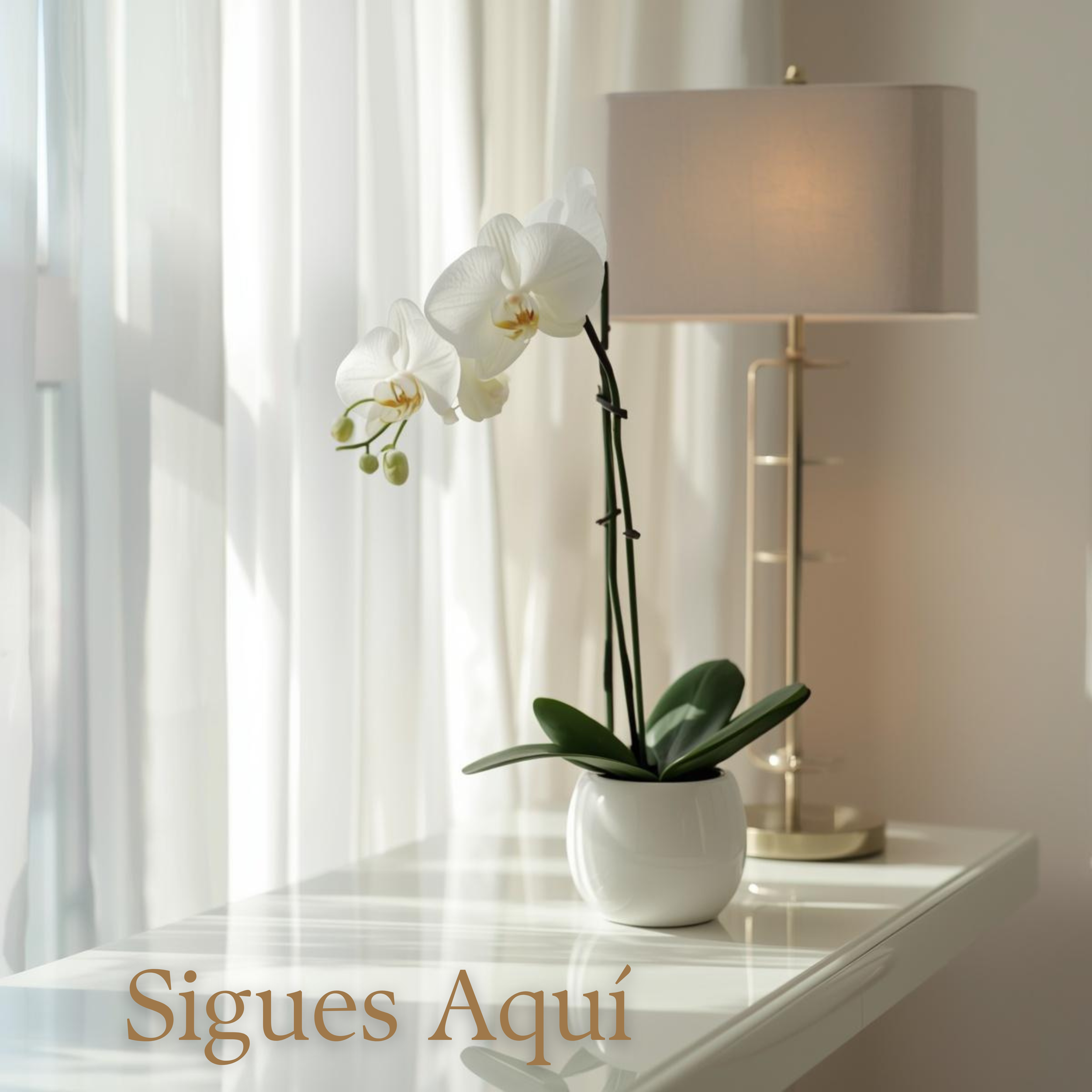 A white orchid flower in a white vase, a table lamp with a light-colored shade, and a reflective surface with sunlight coming through vertical blinds.
